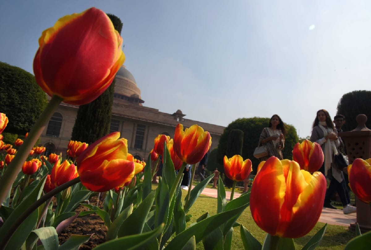 Mughal Garden 2020: It will open on Five February