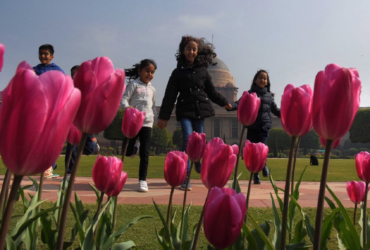 Mughal Garden 2020: It will open on Five February