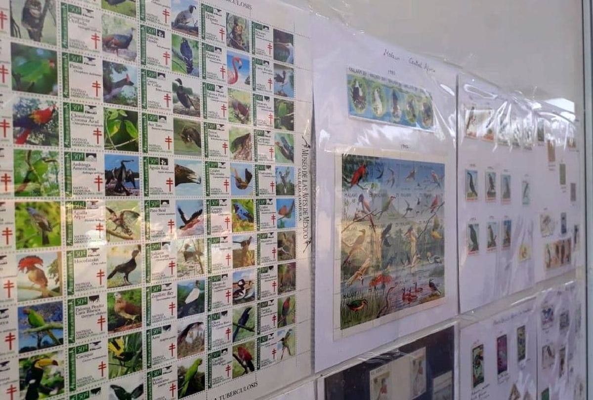Bird festival at Sur Sarovar Bird Vihar in agra