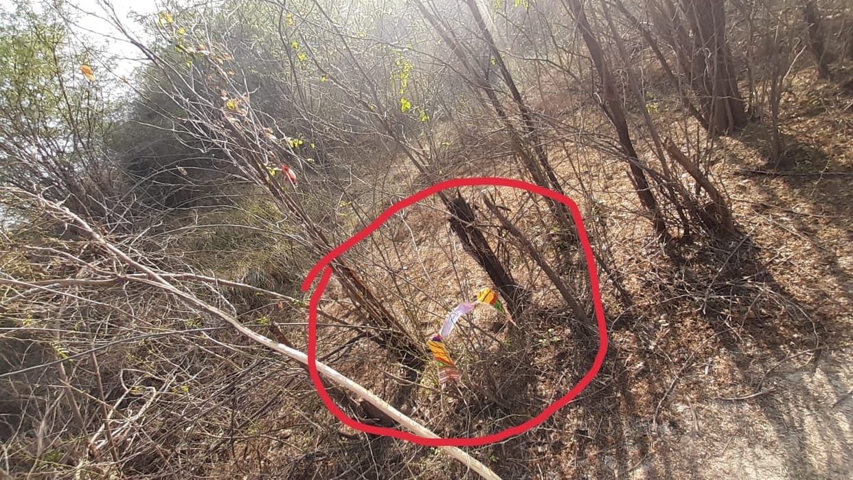 Ashtadhatu idols worth lakhs stolen from the temple