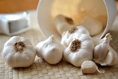 Know The Benefits Of Eating Garlic On An Empty Stomach? - Amar Ujala Hindi  News Live - जानिए खाली पेट लहसुन खाने के फायदे?