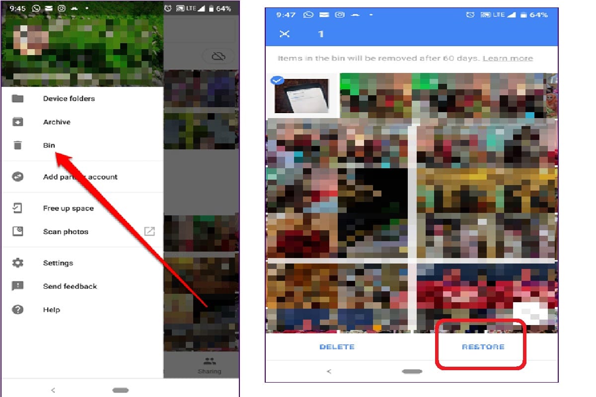 google photos bin