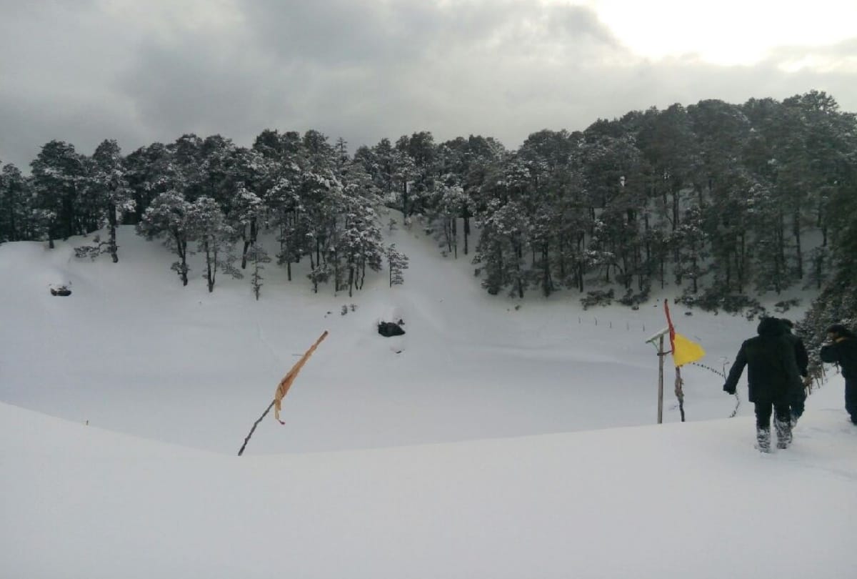 himachal weather update: rain and snowfall prediction on 04 feb