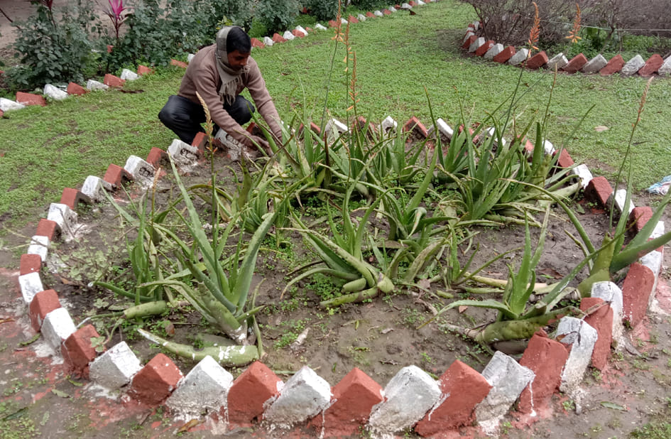 District hospital will develop herbal garden