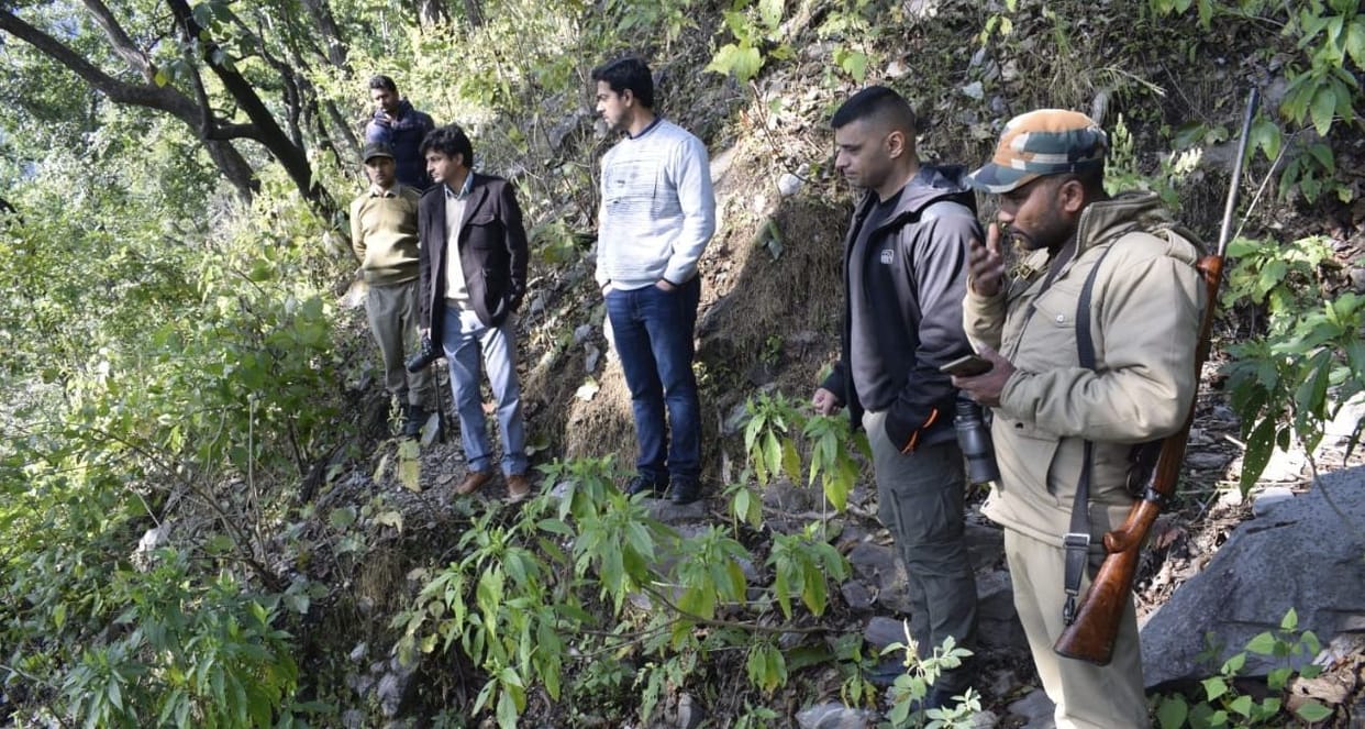 Team could not tranquilize elephant in three hours