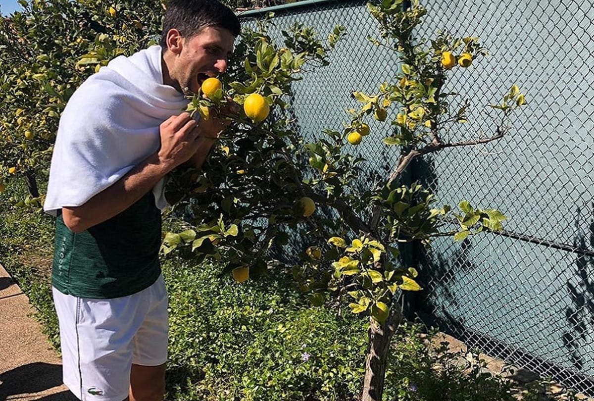 Lifestyle of Australia open 2020 champion Novak Djokovic and his success story