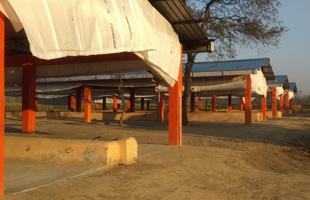 Gaushala lying idle without boundary