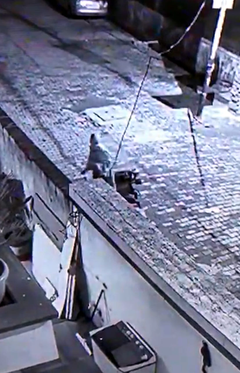 Thieves run away after generator barking at dogs, video goes viral