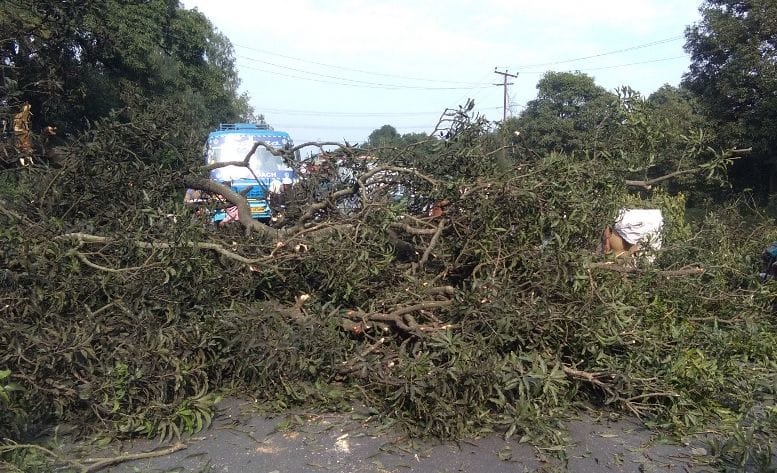 Blocking of trees on the road