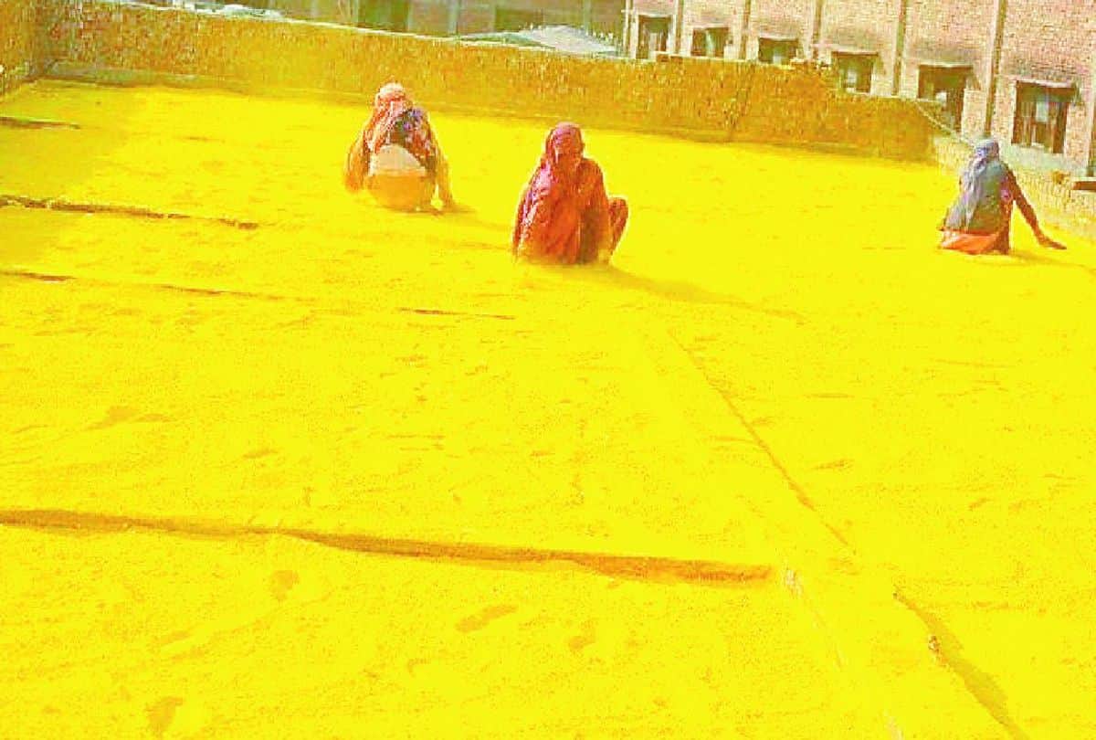 people making natural gulal in mathura for holi festivals