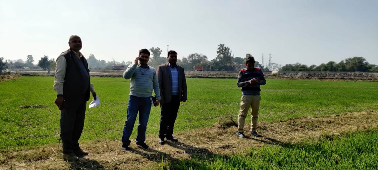 agriculture