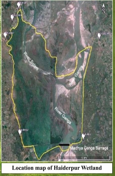 Searching for rhinoceros in Wetland