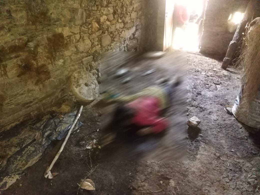 almora : old woman killed in maulekhal