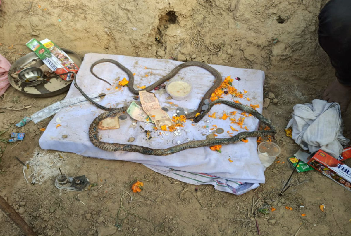 naag nagin death story in firozabad