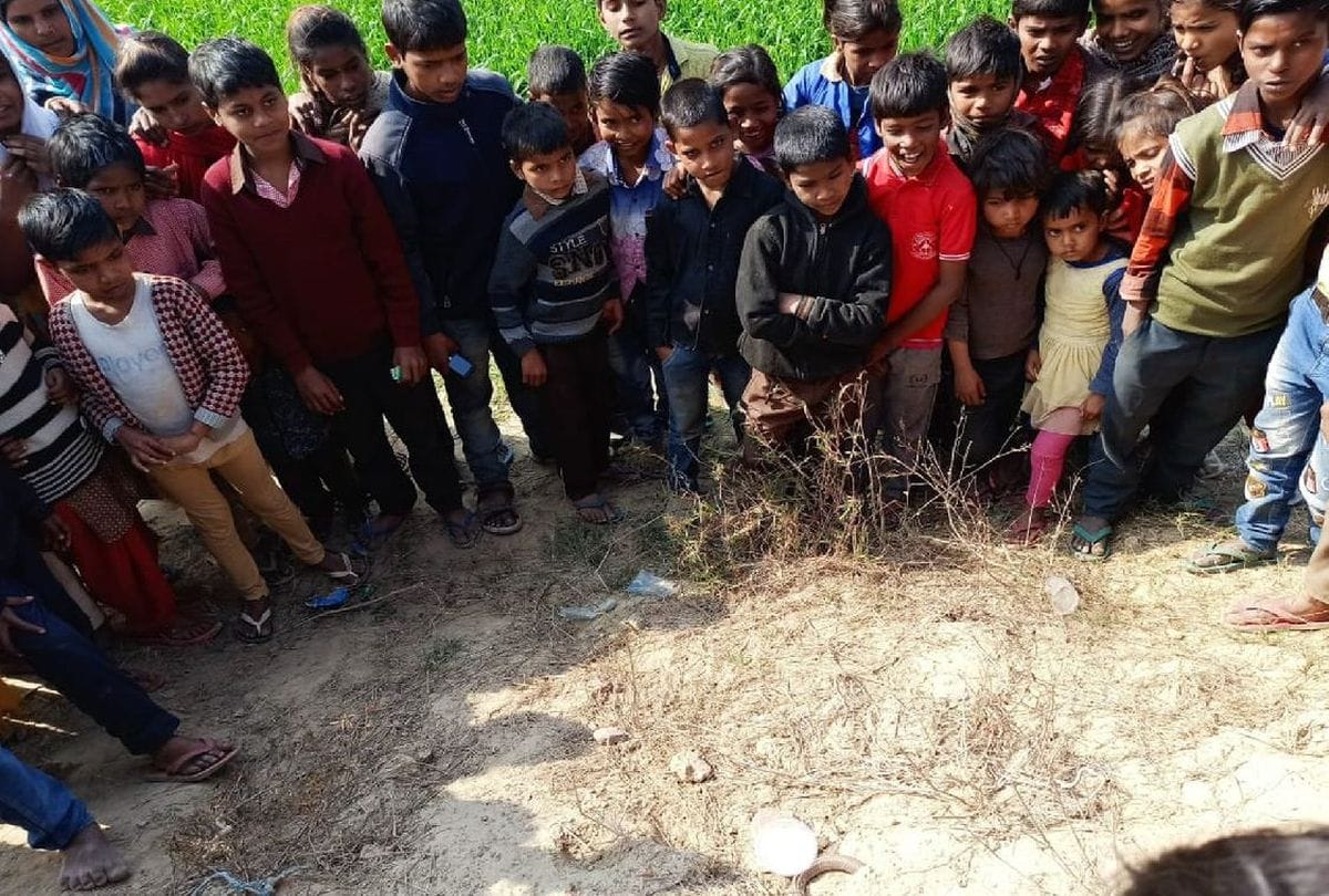 naag nagin death story in firozabad