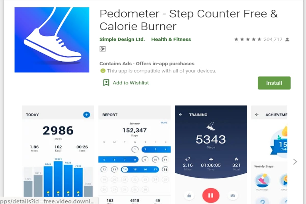 Pedometer 