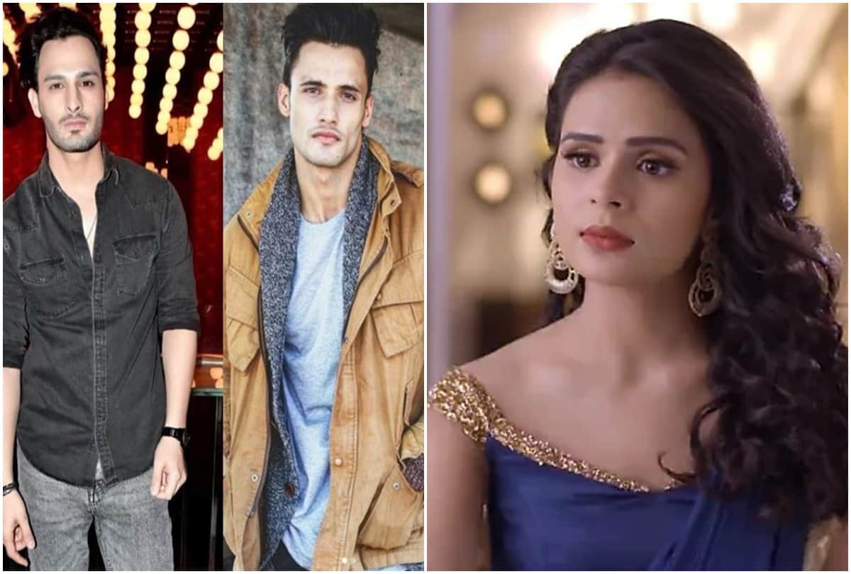 Bigg Boss 13 Sonal Vengurlekar angry on Asim Riaz brother umar Riaz said he stalked her