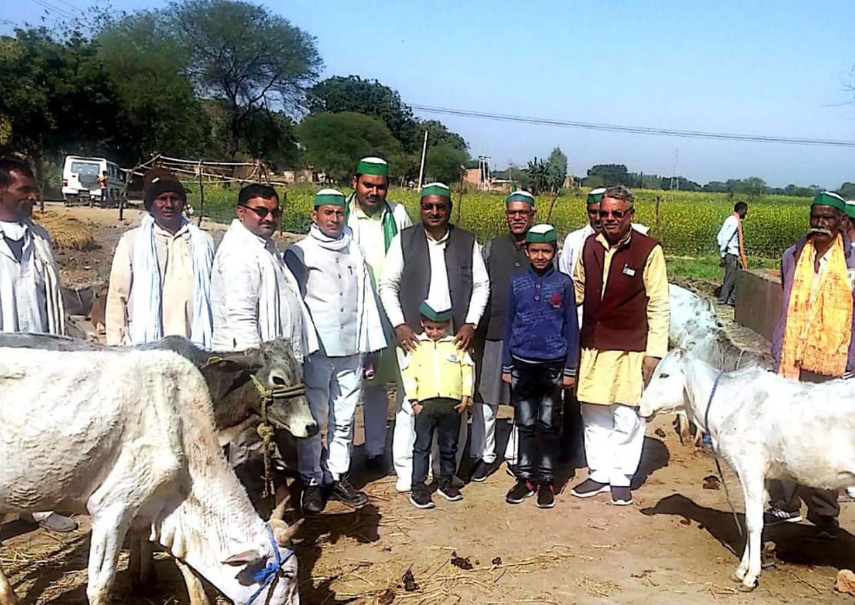 Farmers of Bhadaura will take three cows from Gaushala