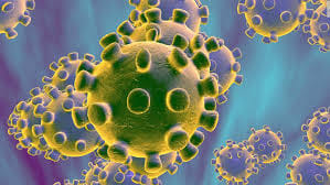 Corona virus fear: three women returned from China to the investigation team