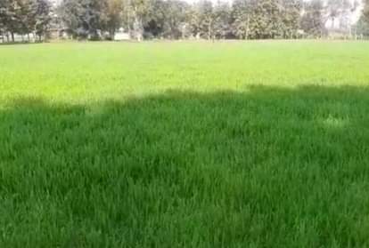 फाइल फोटो