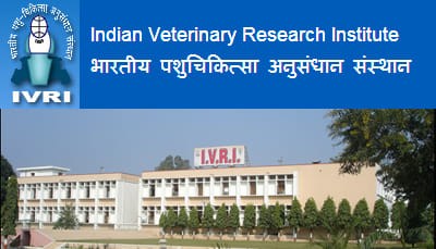 BVSC course gets permanent recognition in IVRI