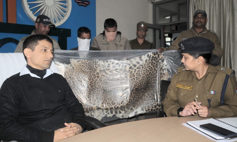 dehradun : two arrested with leopard skin