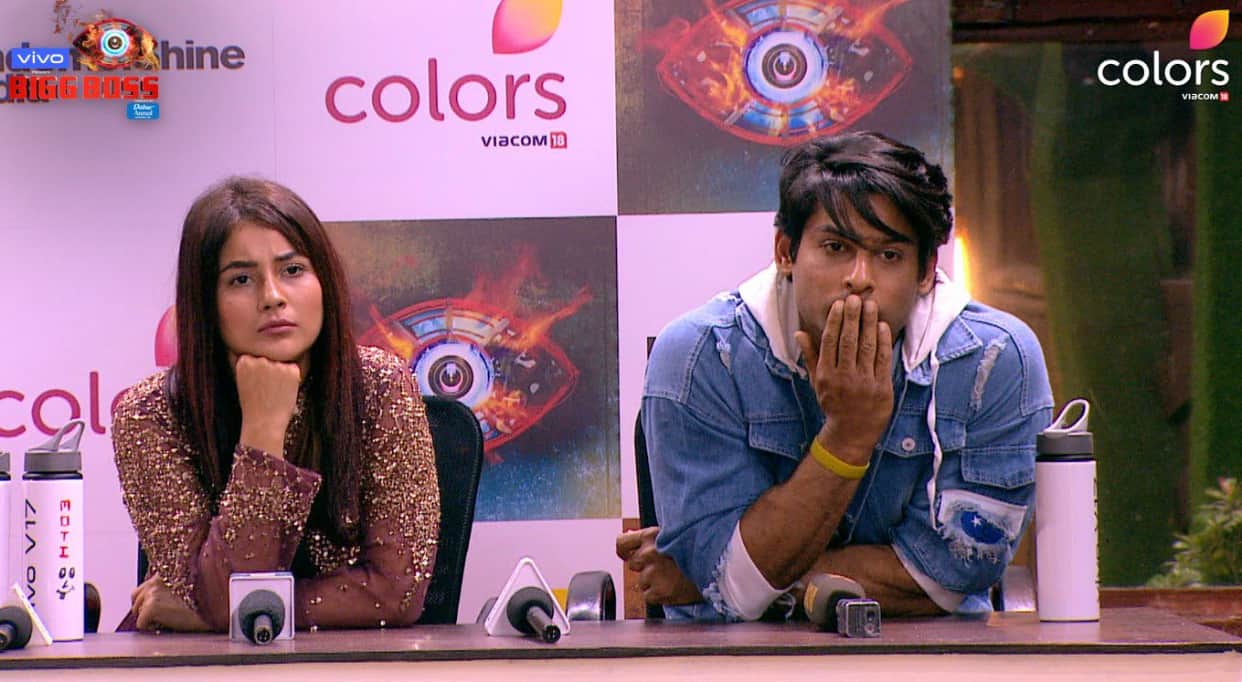 salman khan show bigg boss 13 contestant shehnaz gill may winner of this season