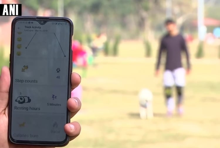 B. Tech student has designed 'Petit', a collar for pets to track their health, location and activity