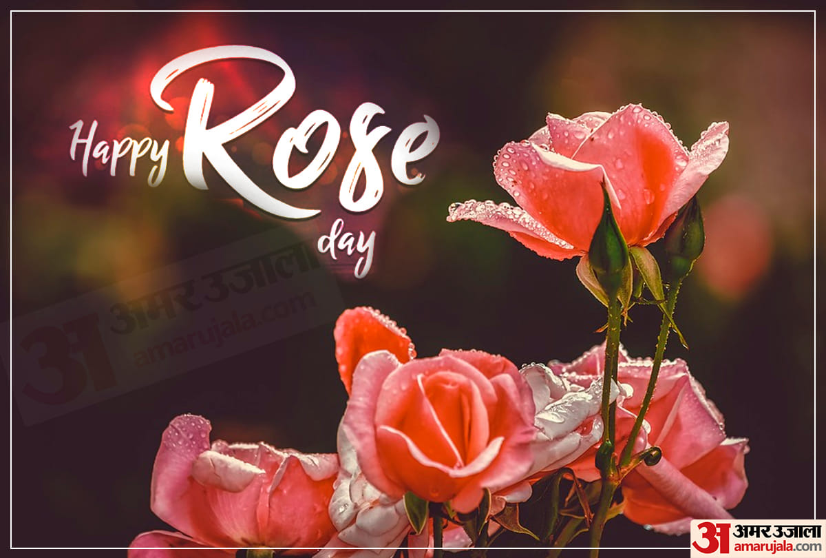 Happy Rose Day 2020: Wishes, Messages, Quotes, Images, WhatsApp & Facebook Status