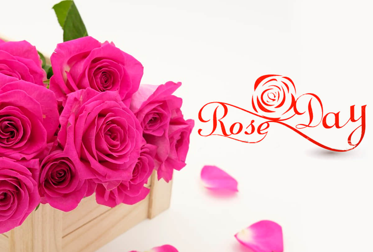 Happy Rose Day 2020: Wishes, Messages, Quotes, Images, WhatsApp & Facebook Status