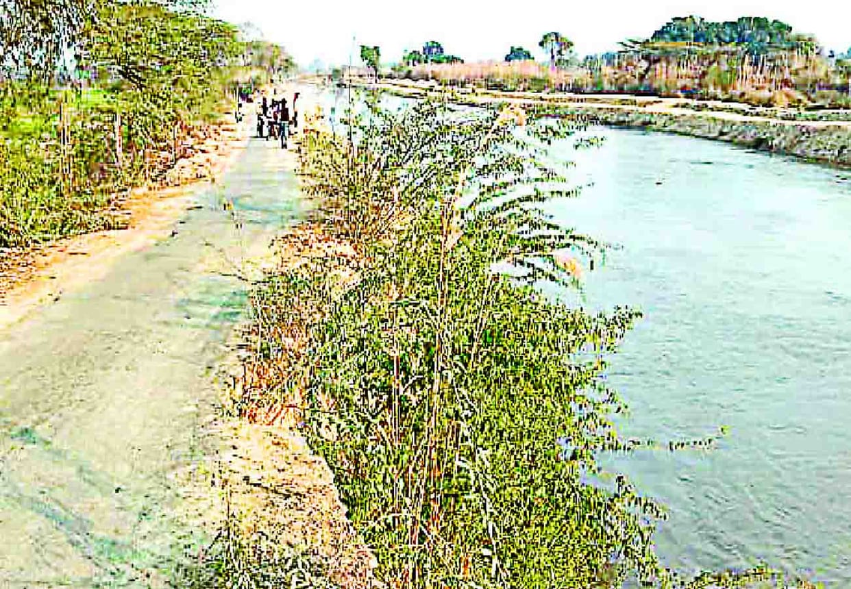 Five killed in painful accident in Kannauj