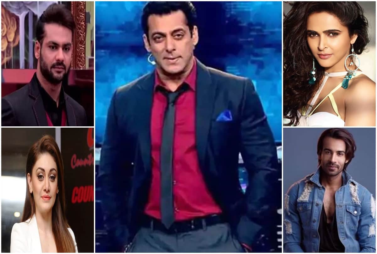 Vishal Madhurima Arhaan Koena Shefali Zariwala and Khesari May Not Be a Part Of Bigg Boss 13 Finale