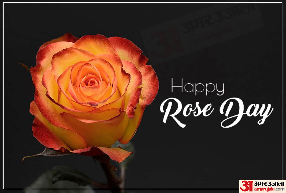 Happy Rose Day 2020: Wishes, Messages, Quotes, Images, WhatsApp & Facebook Status