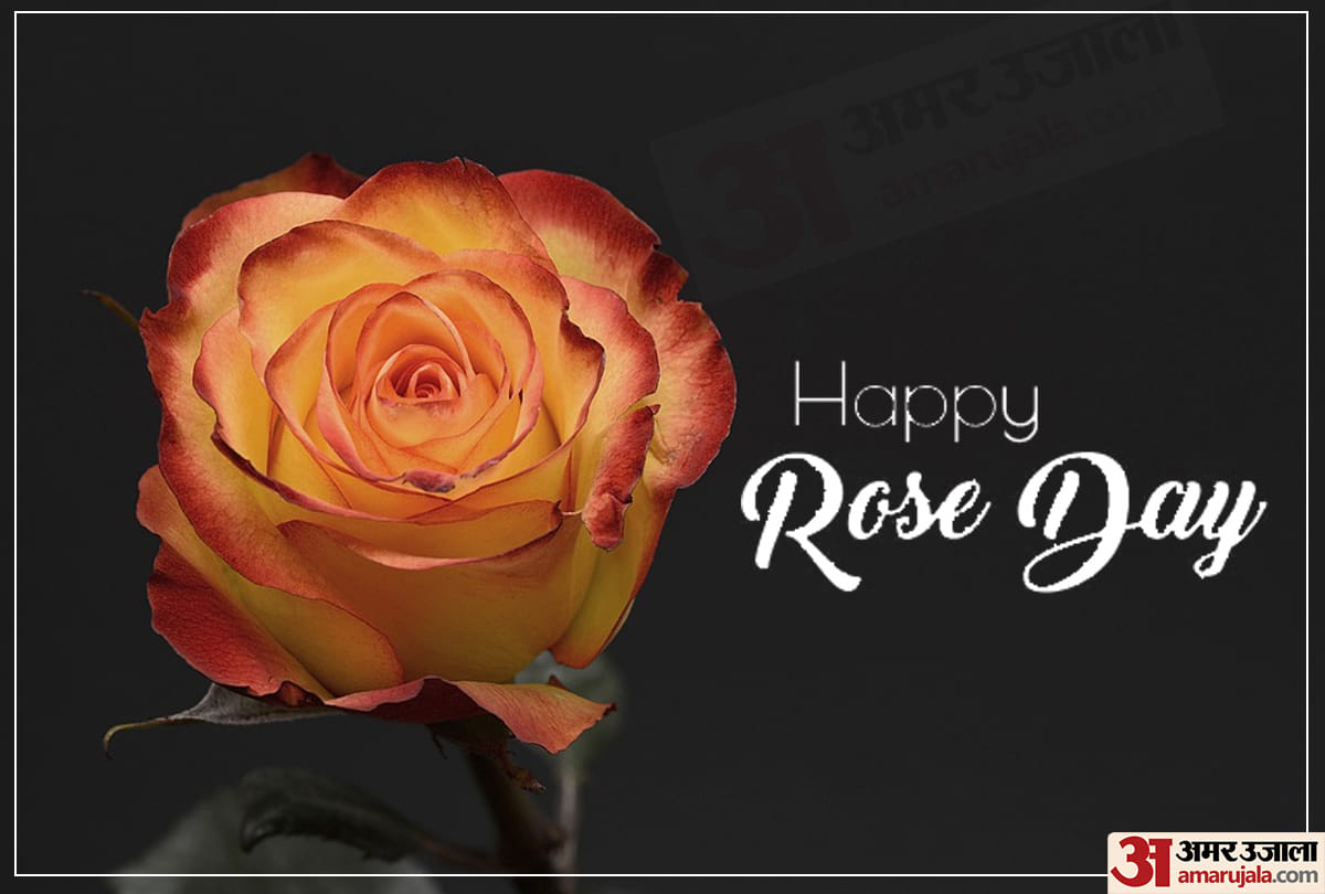 Happy Rose Day 2020: Wishes, Messages, Quotes, Images, WhatsApp & Facebook Status