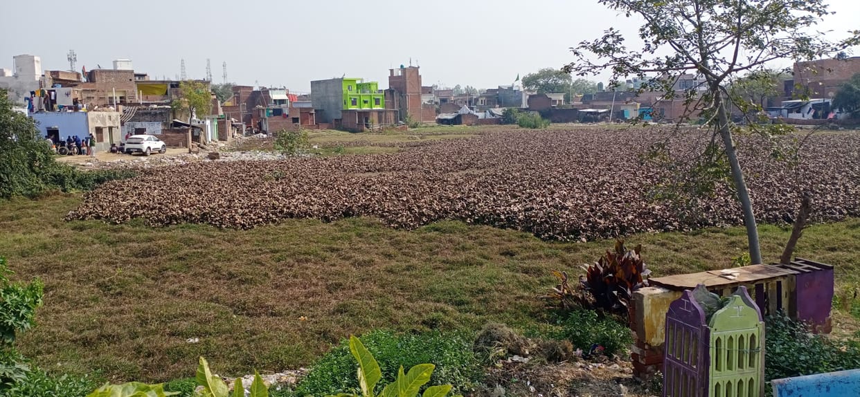 3.76 crore approved for pond beautification