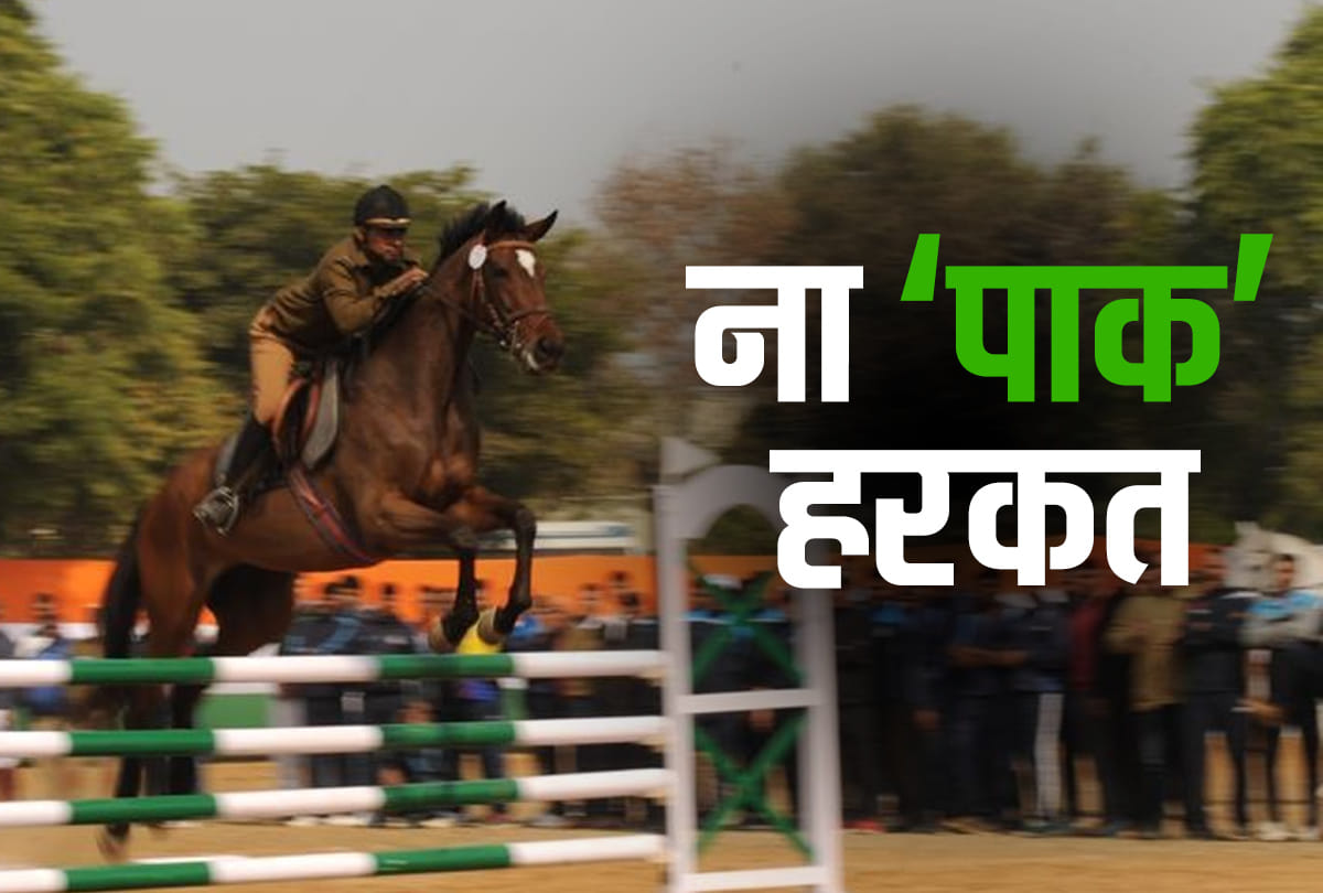 Pakistan riders Azad Kashmir horse likely to run into Tokyo 2020 row, IOA objects