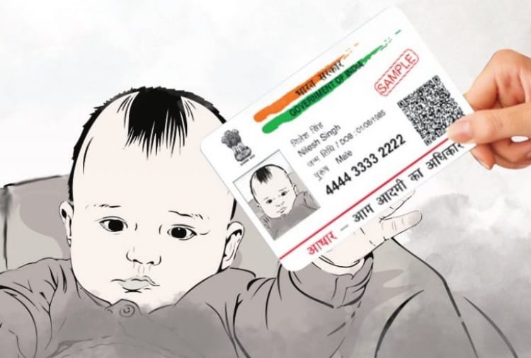 Punjab Haryana High Court Decision Regarding Adhaar Card, Birth Certificate, 10th Class Certificate