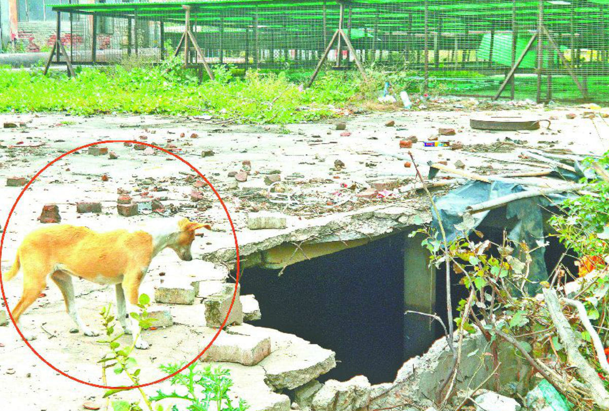 Dirty Drinking Ganga Jal Water Supply In City Of Taj