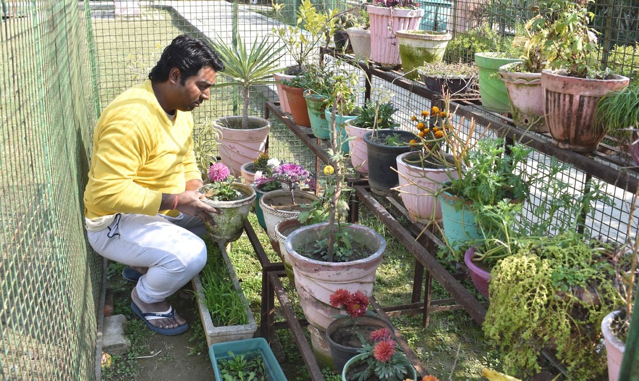 bulandshahar news