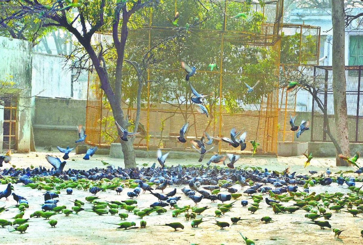 Take effective measures to avoid  negative effects of Shani sadesati