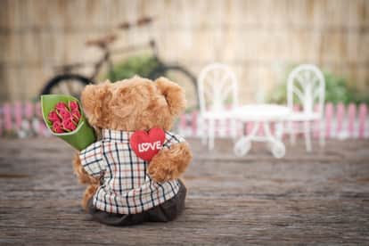 Rose Day