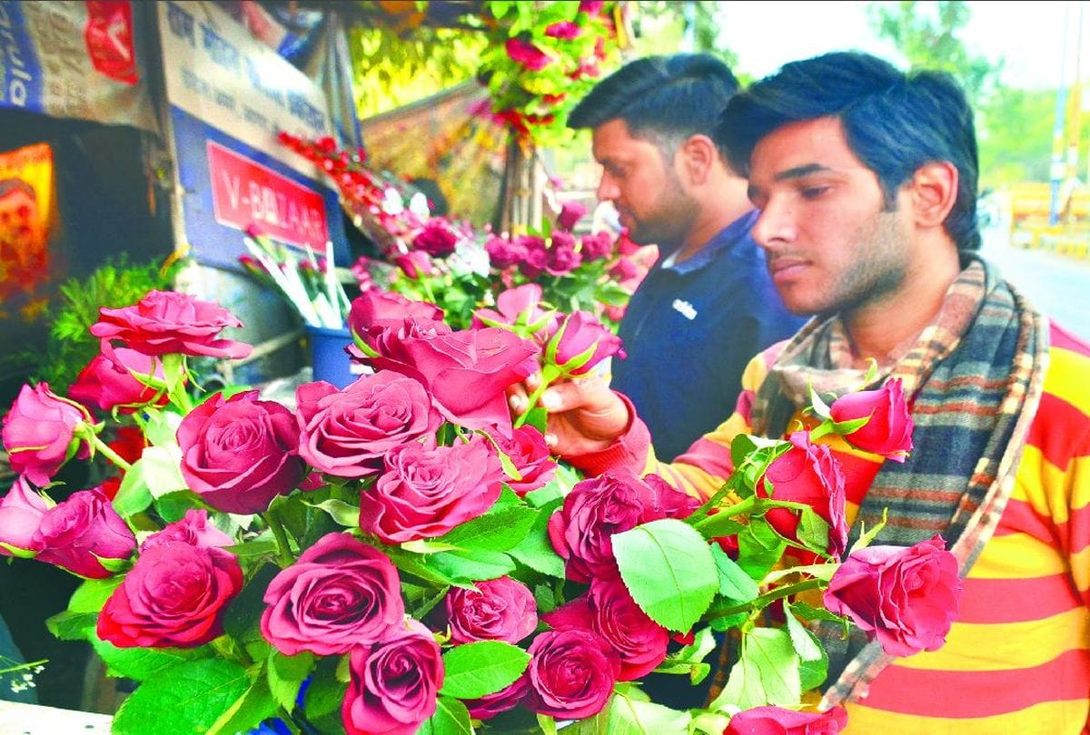 Valentine Week 2021 rose farming in agra