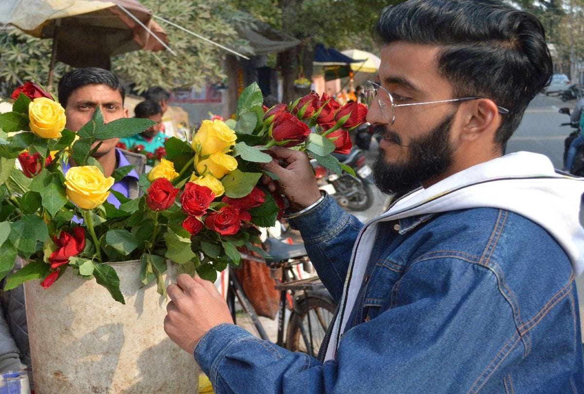 Valentine Week 2021 rose farming in agra