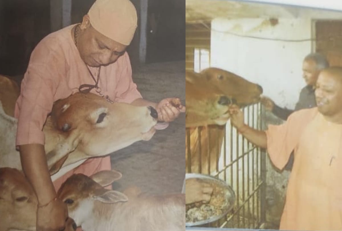 Yogi Adityanath life Special struggle history of CM Yogi adityanath old memories