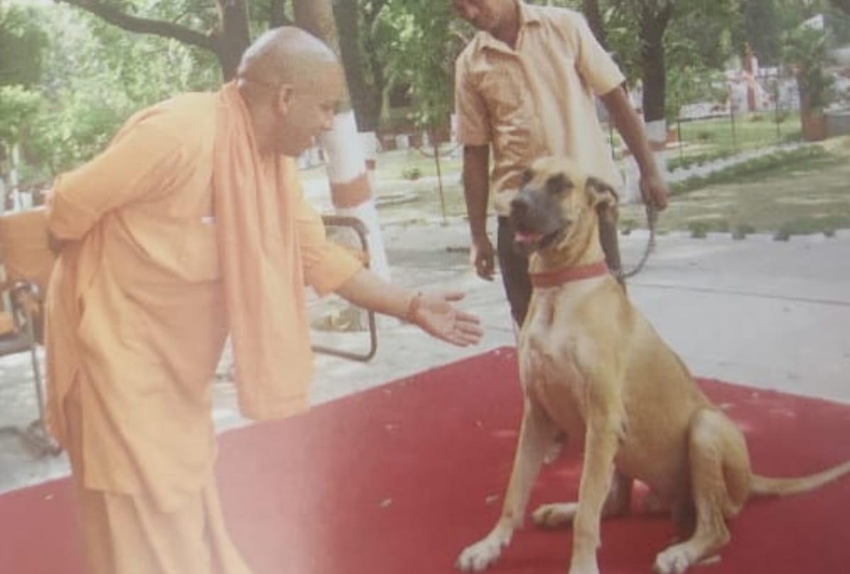 CM Yogi Adityanath special story Yogi Adityanath life real life of CM Yogi