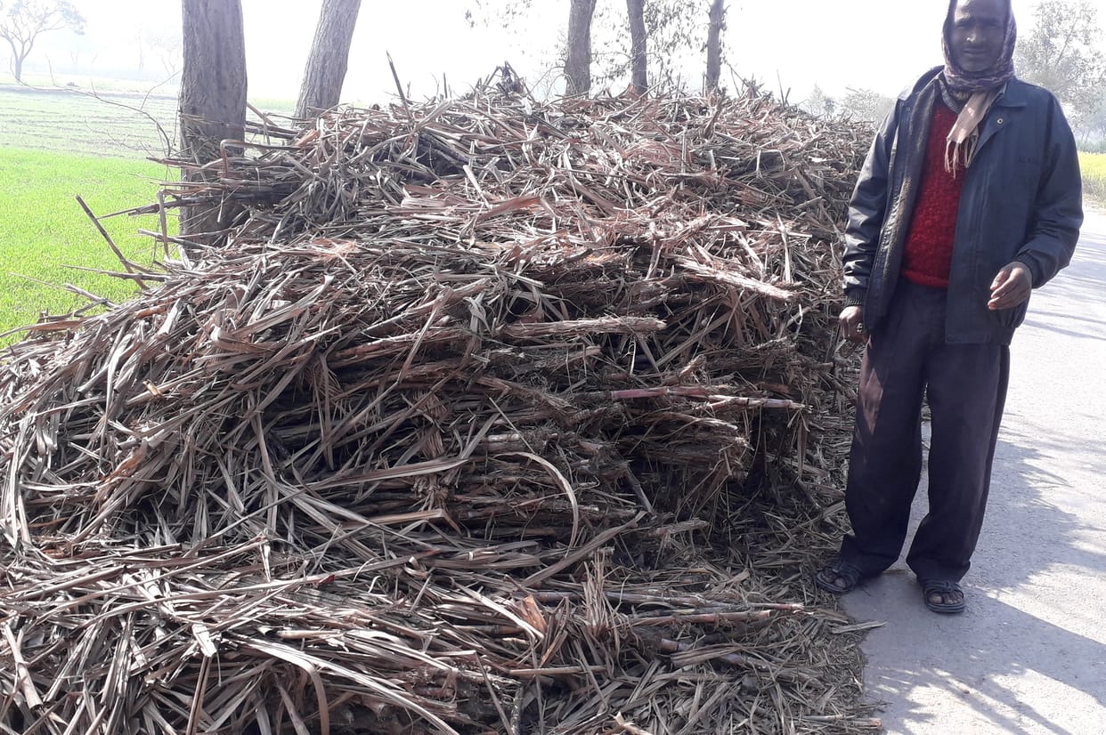 Sugarcane of farmers is drying up due to lack of slip