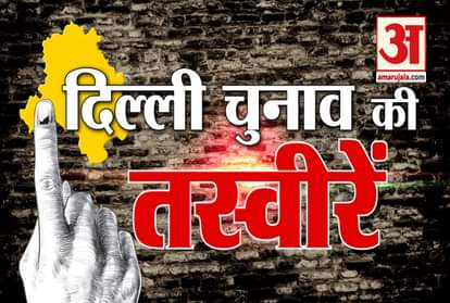 Delhi Assembly Election 2020 Photos