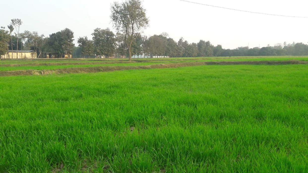 ram nagri