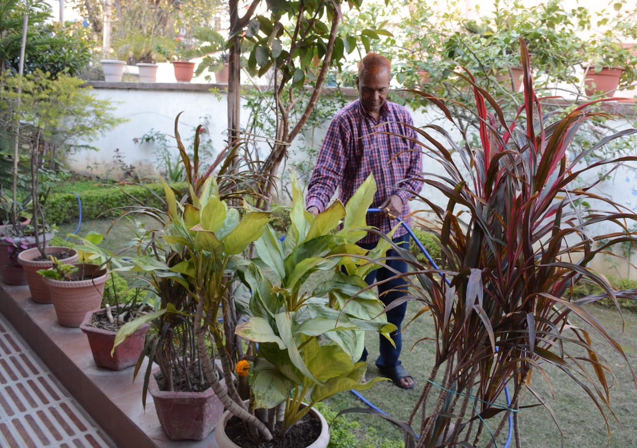 'Garnishing the garden is comforting'