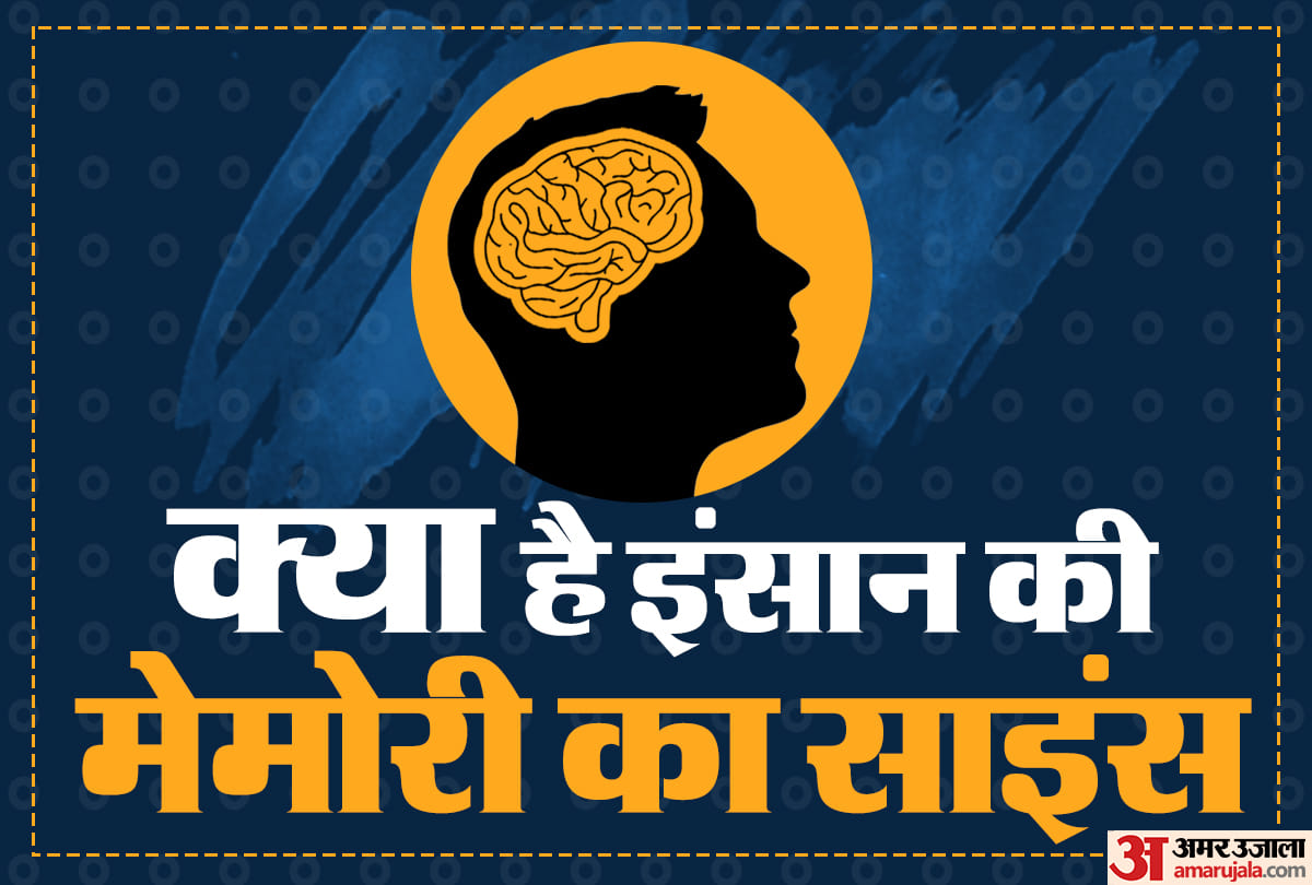 how to increase memory power know science of memory techniques